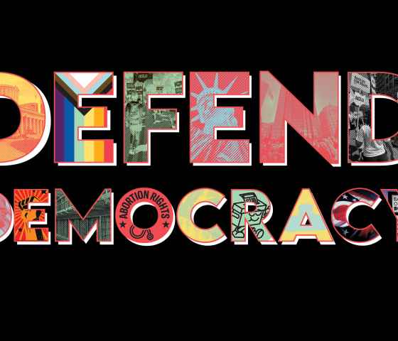 Defend Democracy Vote 2024 Election