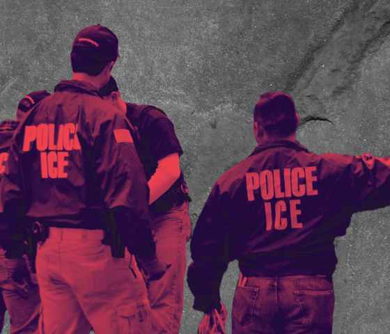 Ice Agents with Gray Background